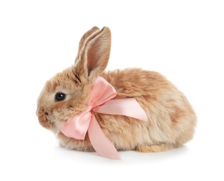 Photo of Adorable furry Easter bunny with cute bow tie on white background