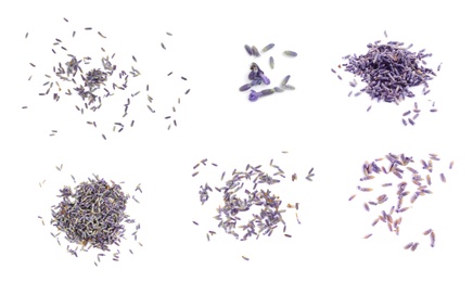 Image of Set with heaps of lavender flowers on white background