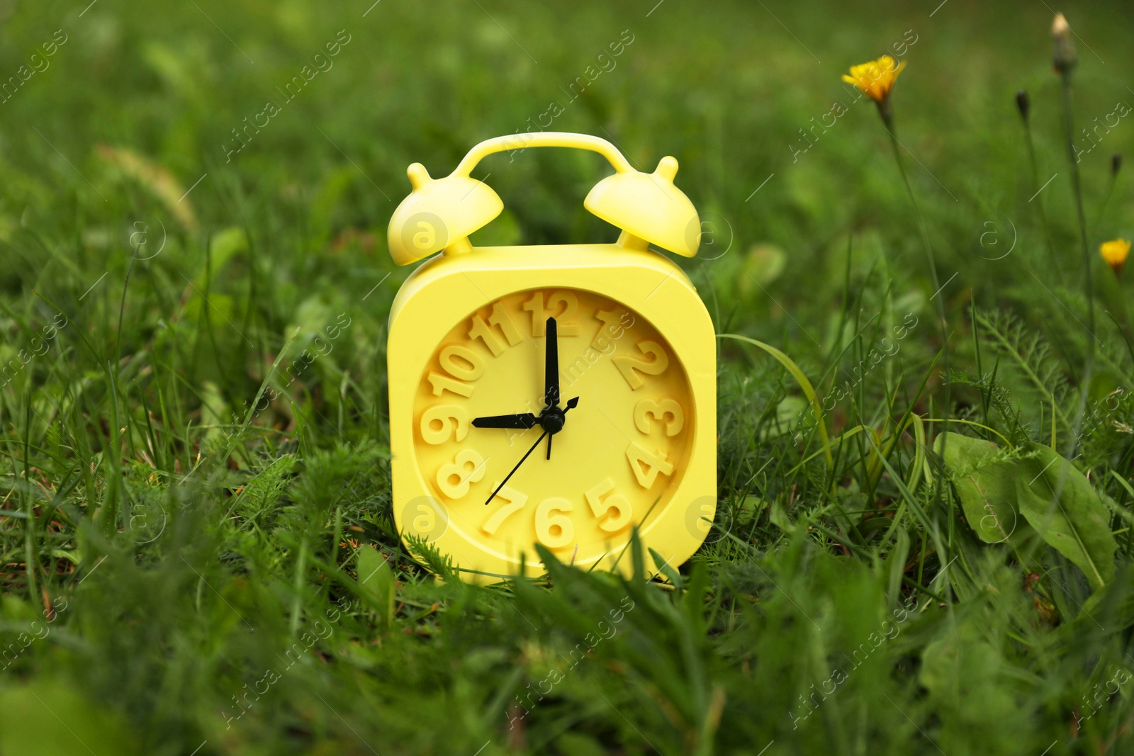 Photo of Yellow alarm clock on green grass outdoors