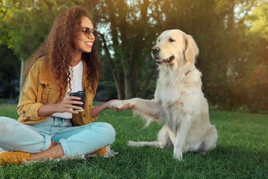 Photo of Young African-American woman and her Golden Retriever dog on green grass in park