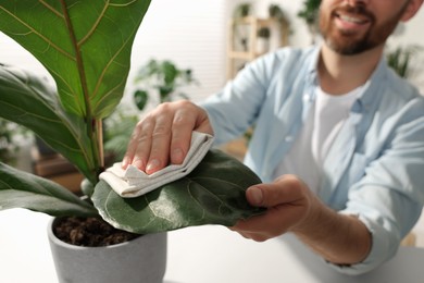 Man wiping leaves of beautiful potted houseplants with cloth indoors, closeup