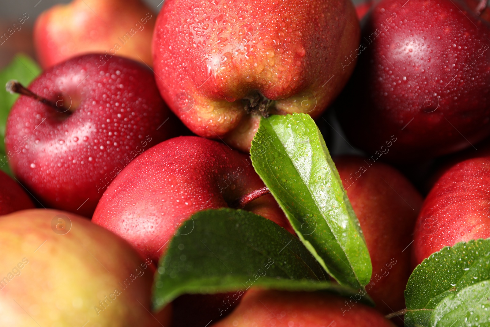 Photo of Fresh ripe red apples and green leaves with water drops, closeup