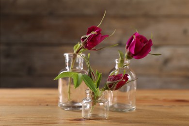 Beautiful roses in glass bottles on wooden table