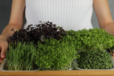 Photo of Woman with wooden crate of different fresh microgreens on grey background, closeup