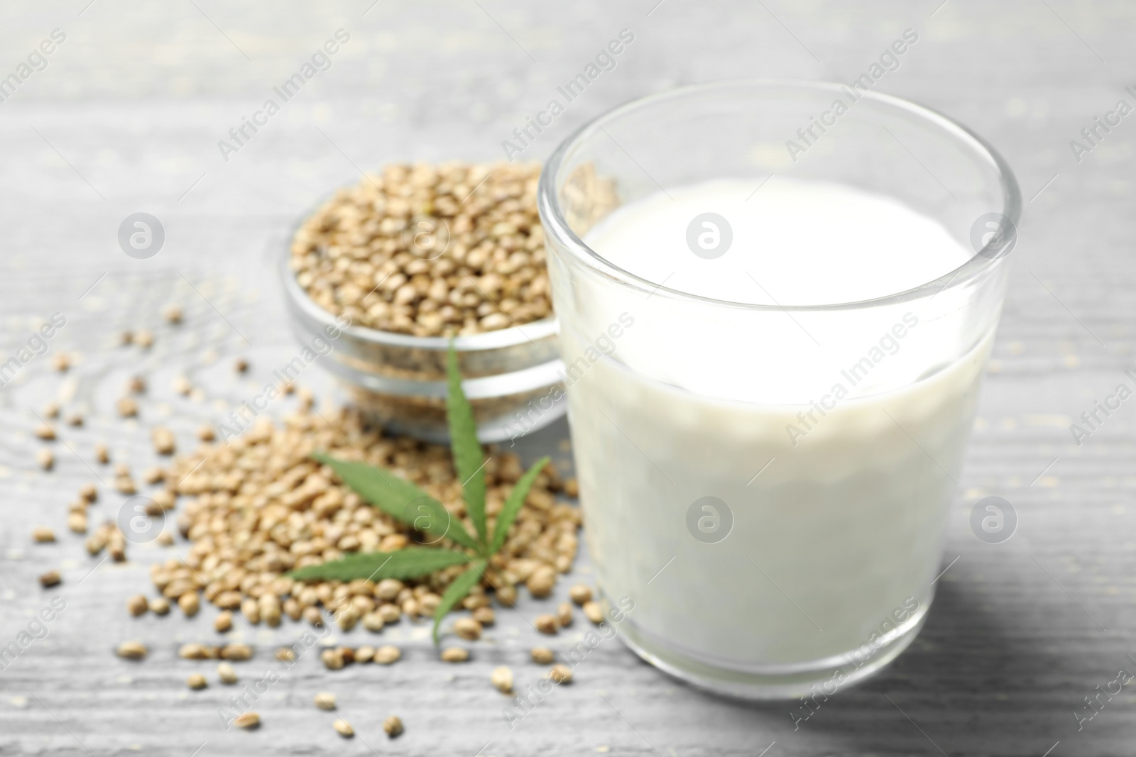 Photo of Composition with glass of hemp milk on grey wooden table, closeup. Space for text