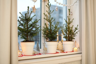 Small potted fir trees and Christmas decor on window sill indoors