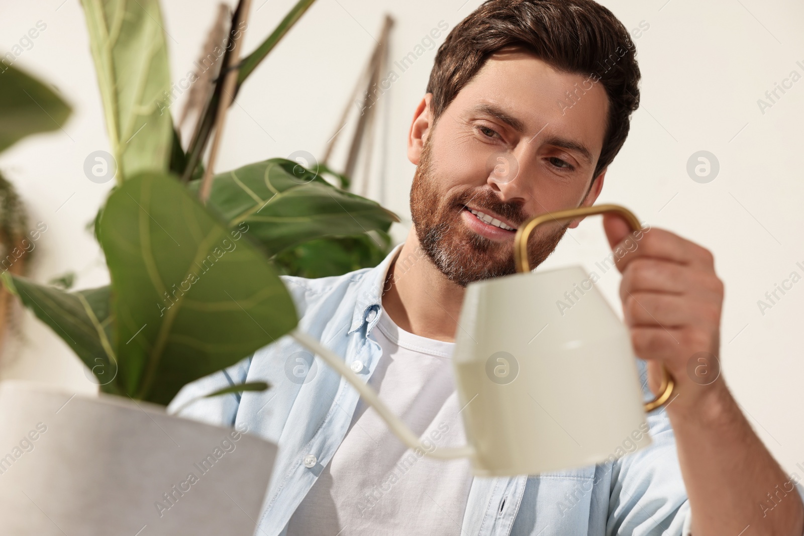 Photo of Man watering beautiful potted houseplants at home