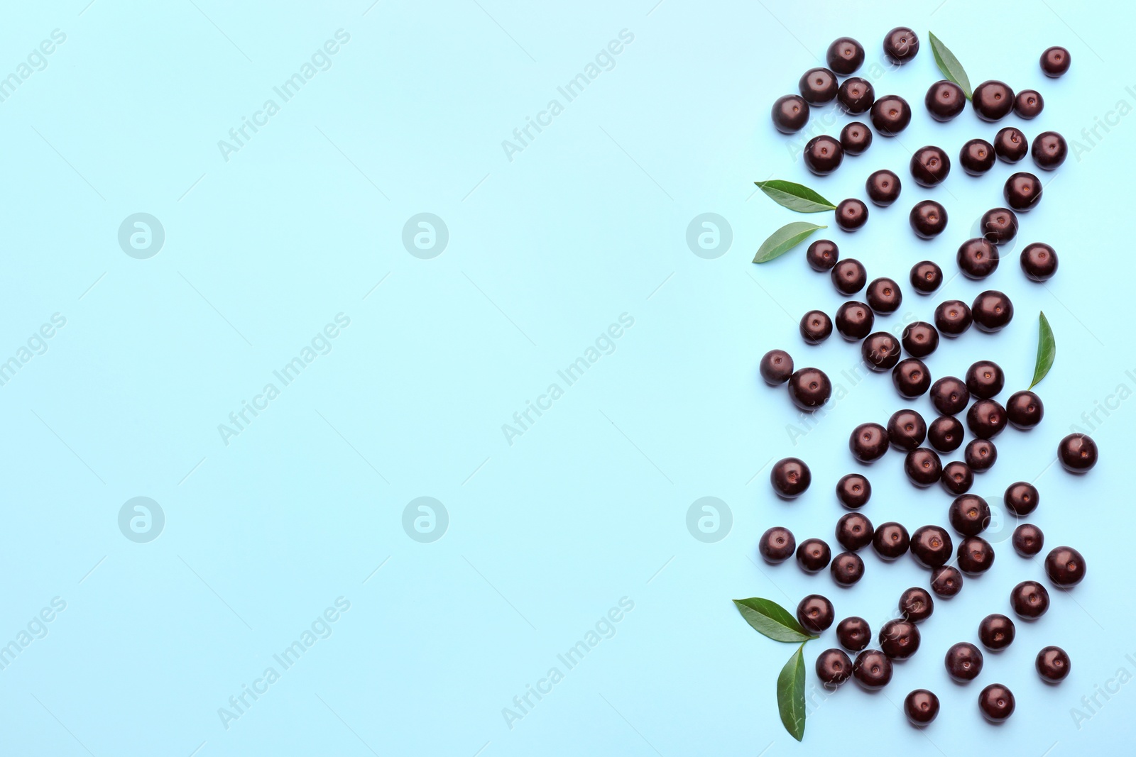 Photo of Fresh acai berries on light blue background, flat lay. Space for text