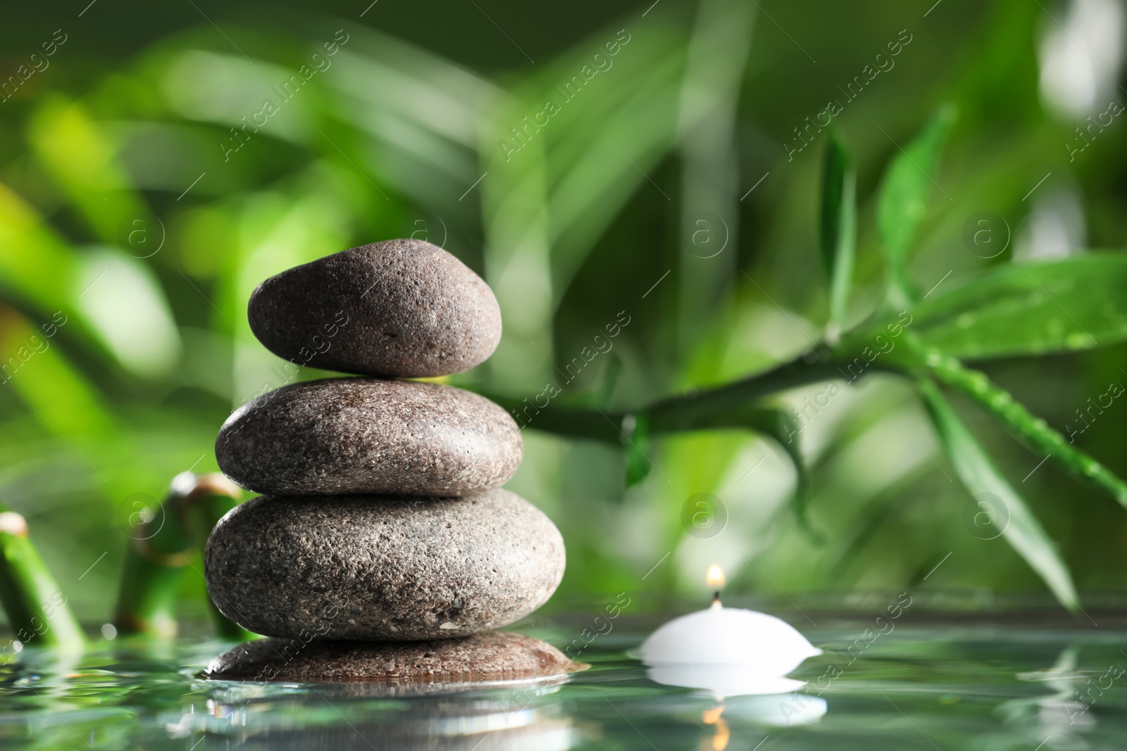 Photo of Stacked stones and burning candle with bamboo stem on water surface against blurred green leaves, closeup