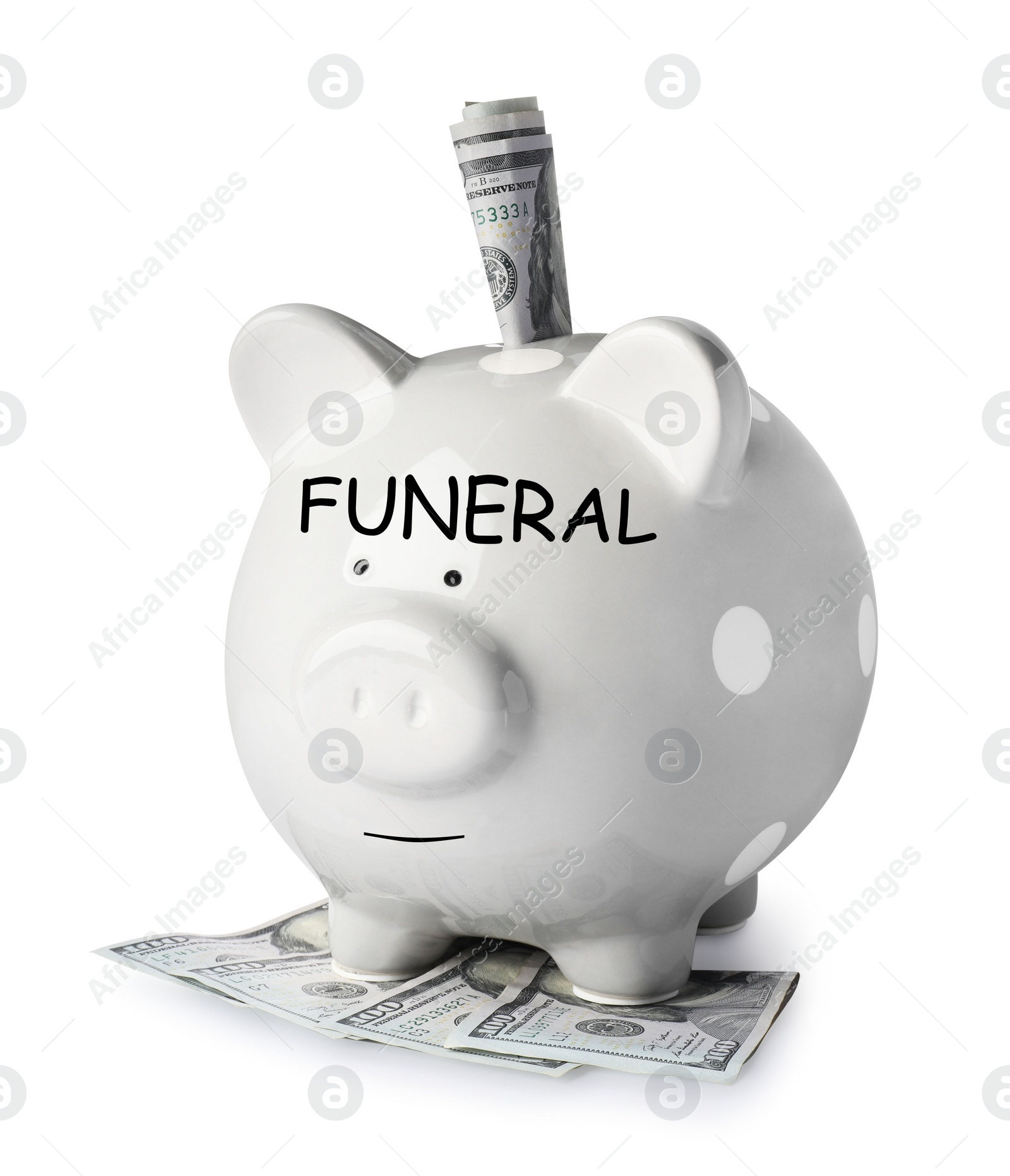 Image of Money for funeral expenses. Piggy bank with dollar banknotes on white background