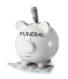 Money for funeral expenses. Piggy bank with dollar banknotes on white background