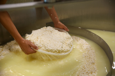 Photo of Worker taking curd from tank at cheese factory, closeup
