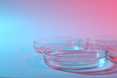 Many petri dishes on color background, closeup. Space for text