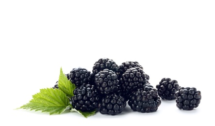 Photo of Fresh ripe juicy blackberries on white background