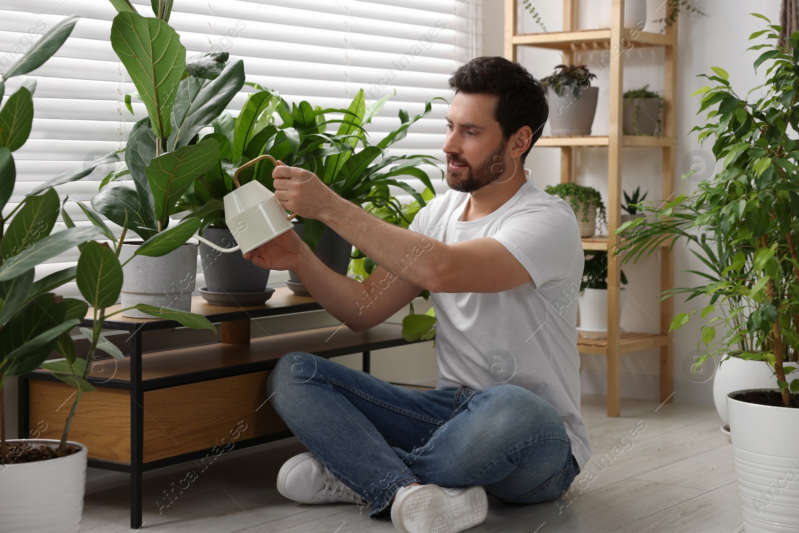 Photo of Man watering beautiful potted houseplants at home