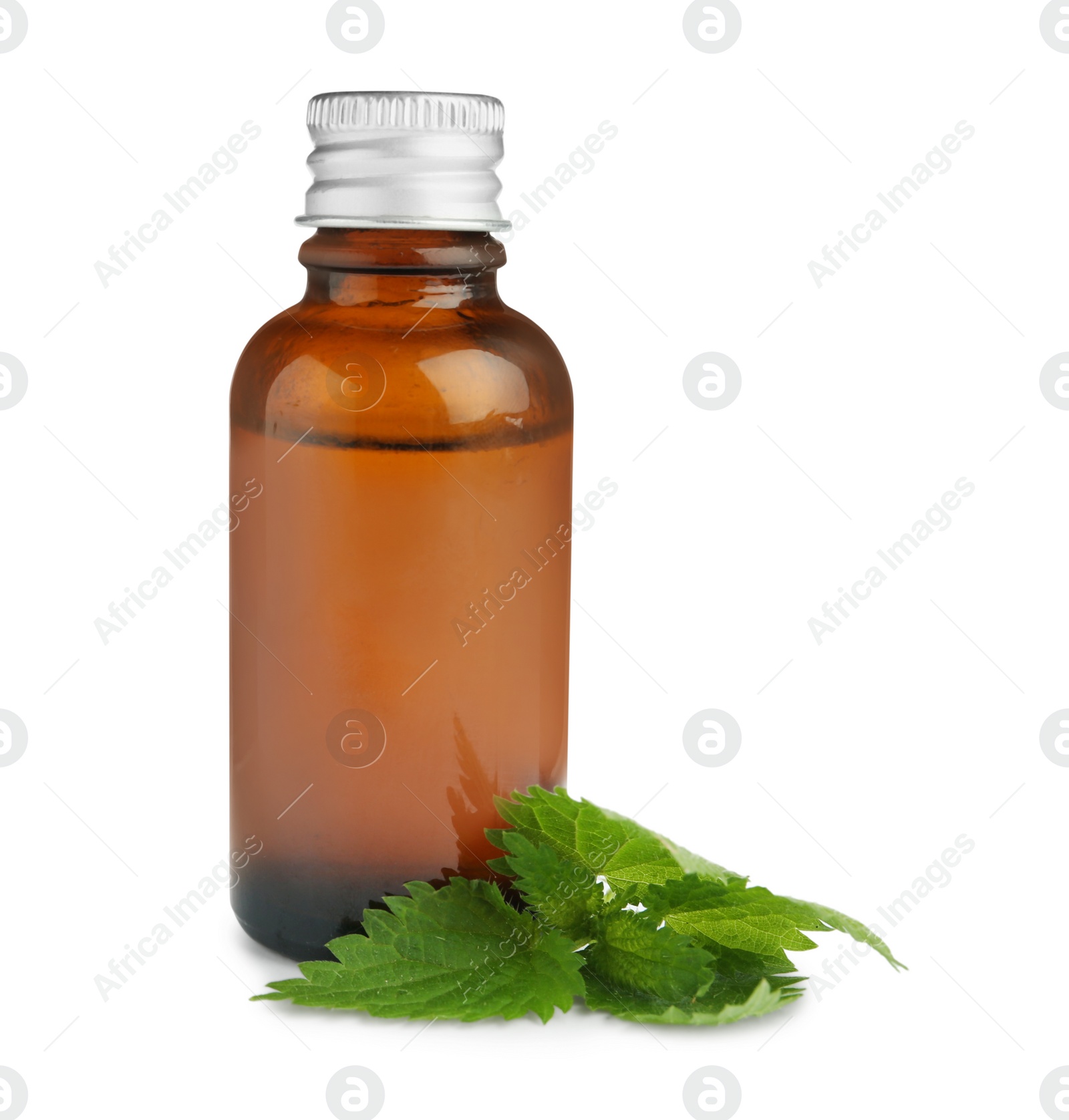 Photo of Glass bottle of nettle oil with leaves isolated on white