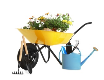 Photo of Wheelbarrow with flowers and gardening tools isolated on white