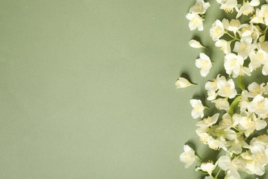 Beautiful jasmine flowers on pale green background, flat lay. Space for text