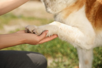 Photo of Woman holding dog's paw outdoors, closeup. Concept of volunteering