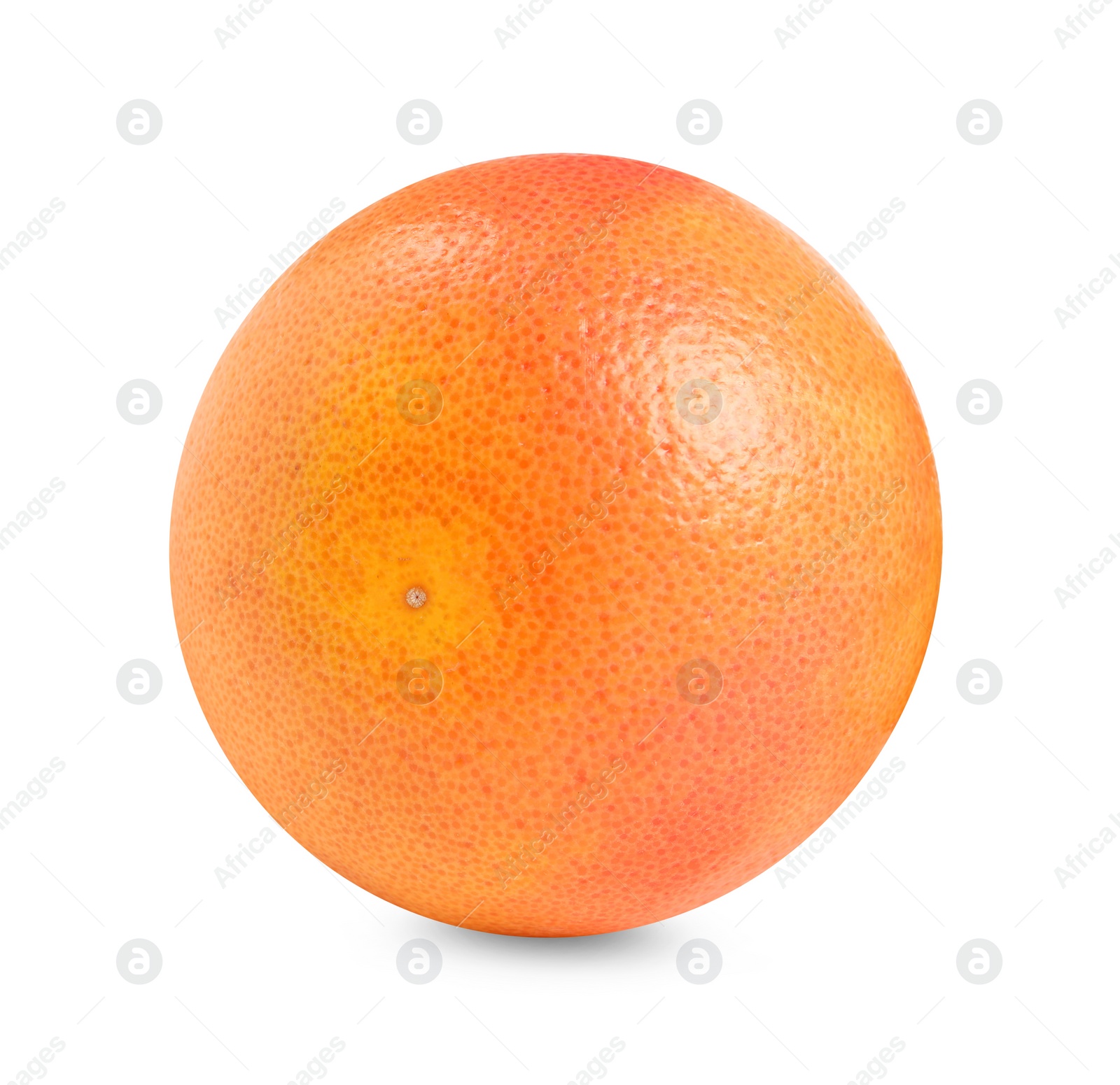 Photo of Citrus fruit. Whole fresh grapefruit isolated on white