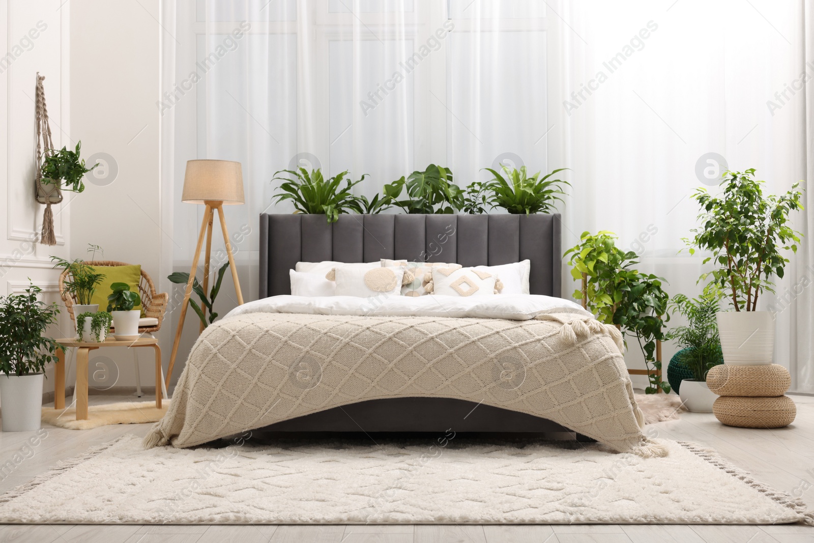 Photo of Large comfortable bed, lamp and beautiful houseplants in bedroom. Interior design