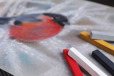 Colorful chalk pastels and beautiful painting of bullfinch on table, closeup