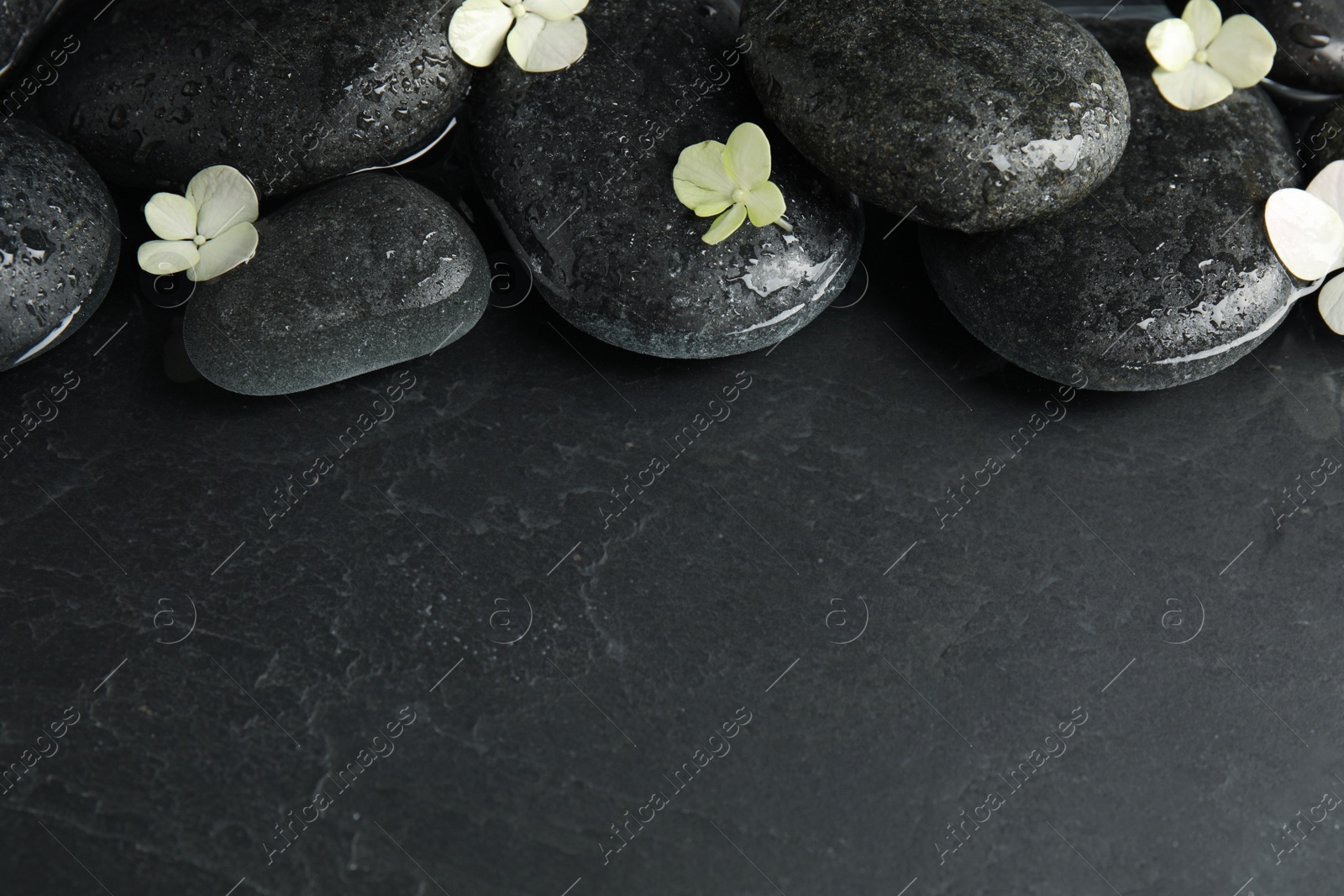 Photo of Stones and flowers in water on dark background, space for text. Zen lifestyle