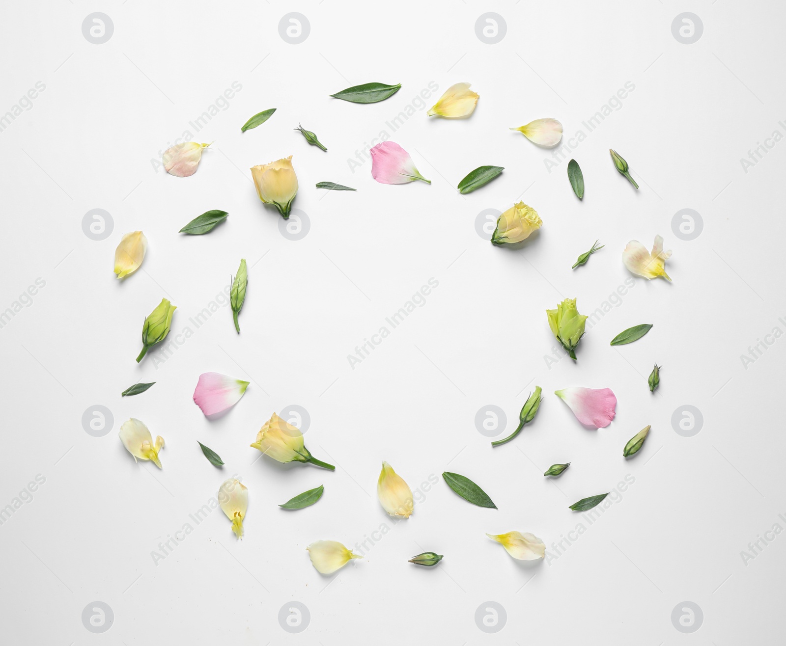 Photo of Flat lay composition with beautiful Eustoma flowers on light background, space for text