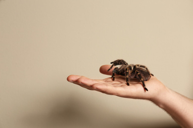 Photo of Man holding striped knee tarantula on beige background, closeup. Space for text