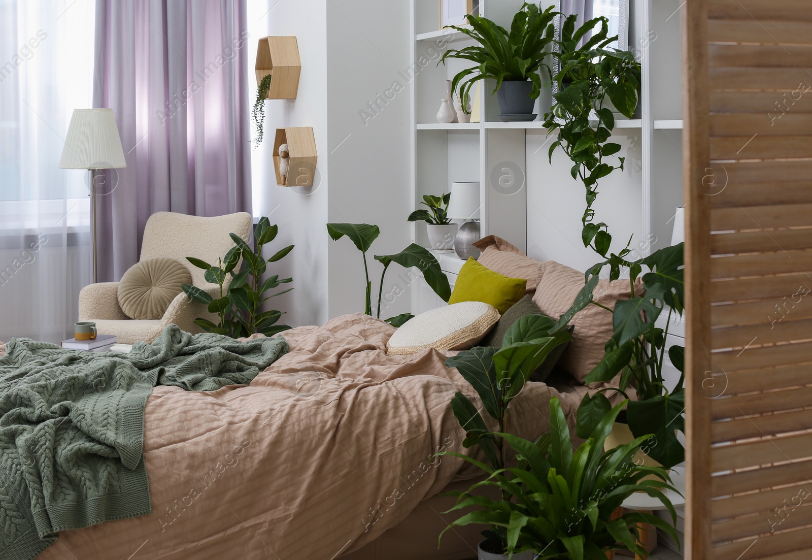 Photo of Comfortable bed and different houseplants in bedroom. Interior design