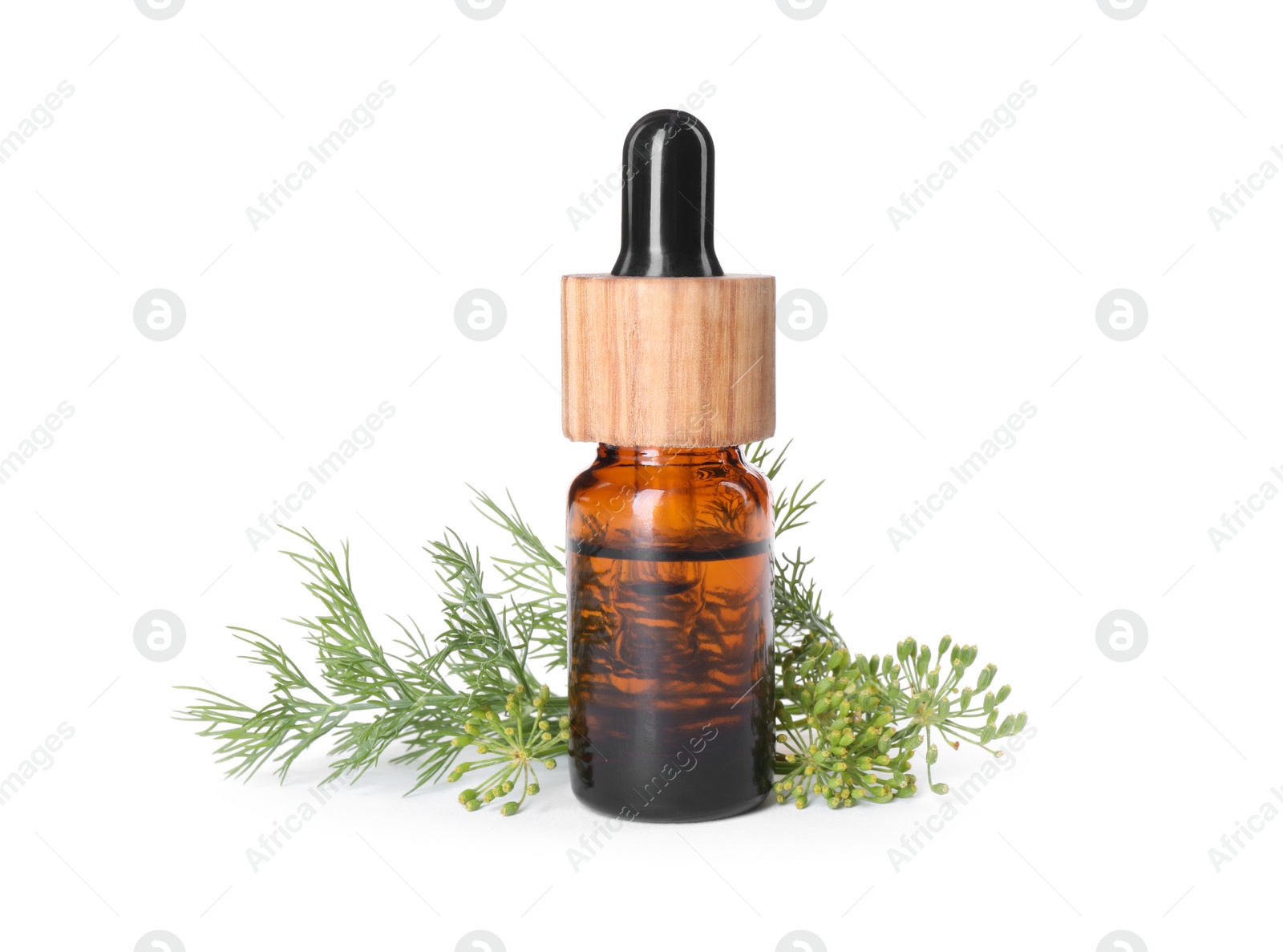 Photo of Bottle of essential oil and fresh dill isolated on white