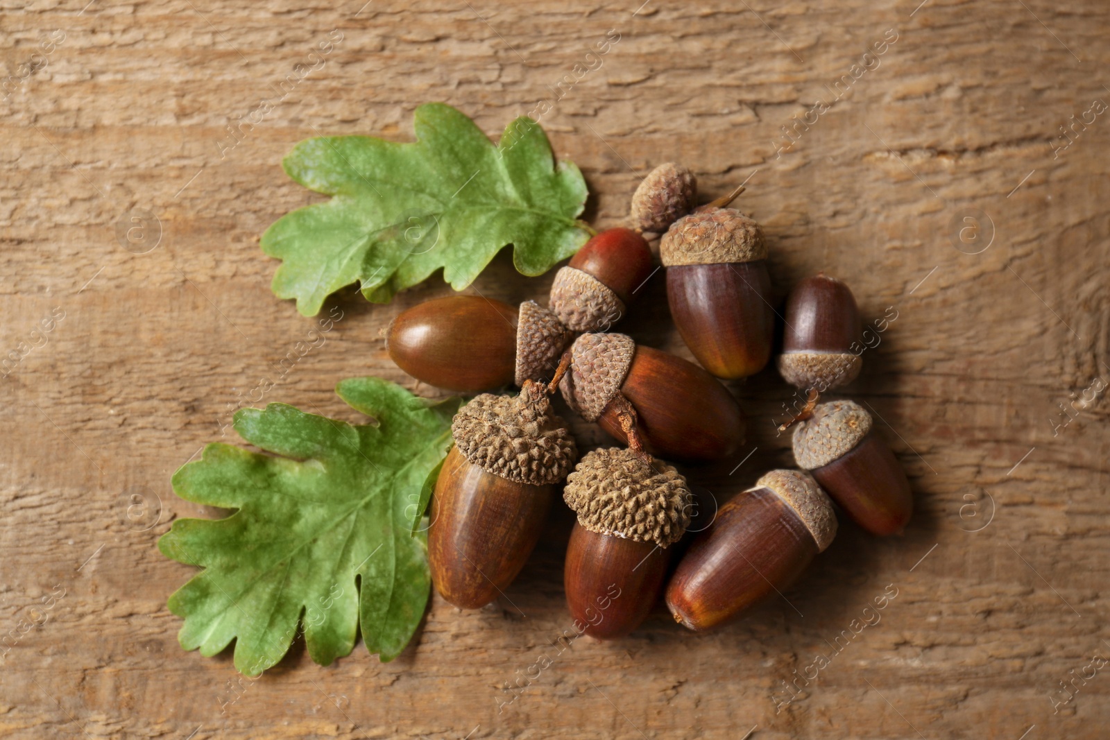 Photo of Pile of acorns and oak leaves on wooden table, top view