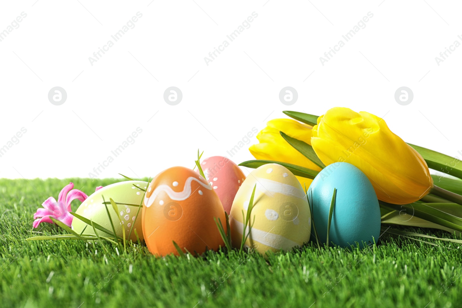 Photo of Colorful painted Easter eggs and flowers on green grass against white background