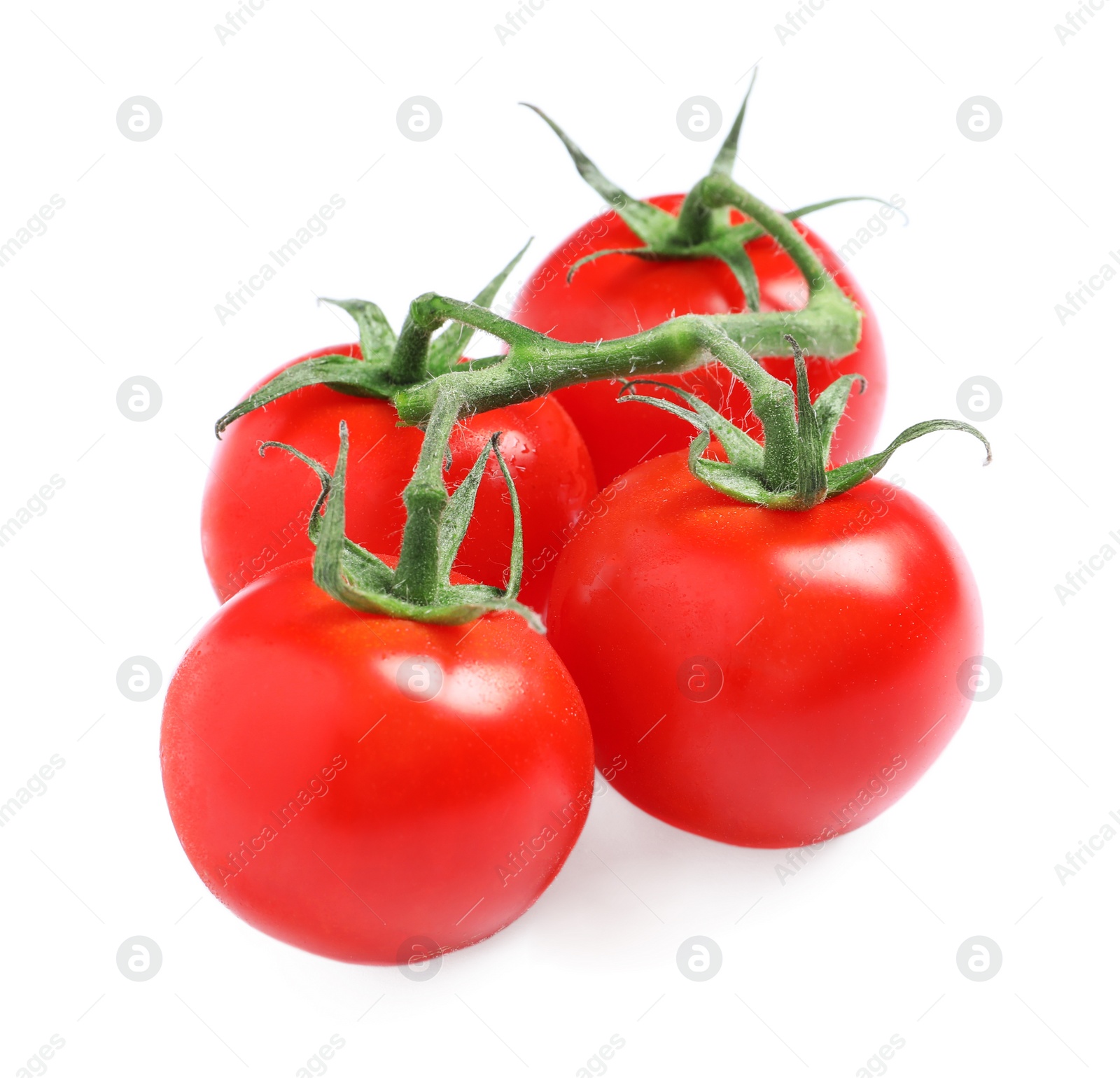 Photo of Branch of fresh cherry tomatoes isolated on white