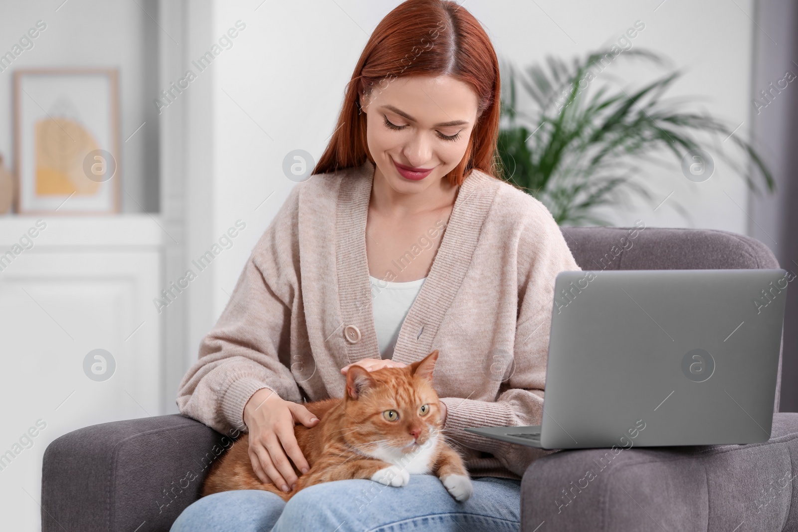 Photo of Woman stroking cat while working in armchair at home