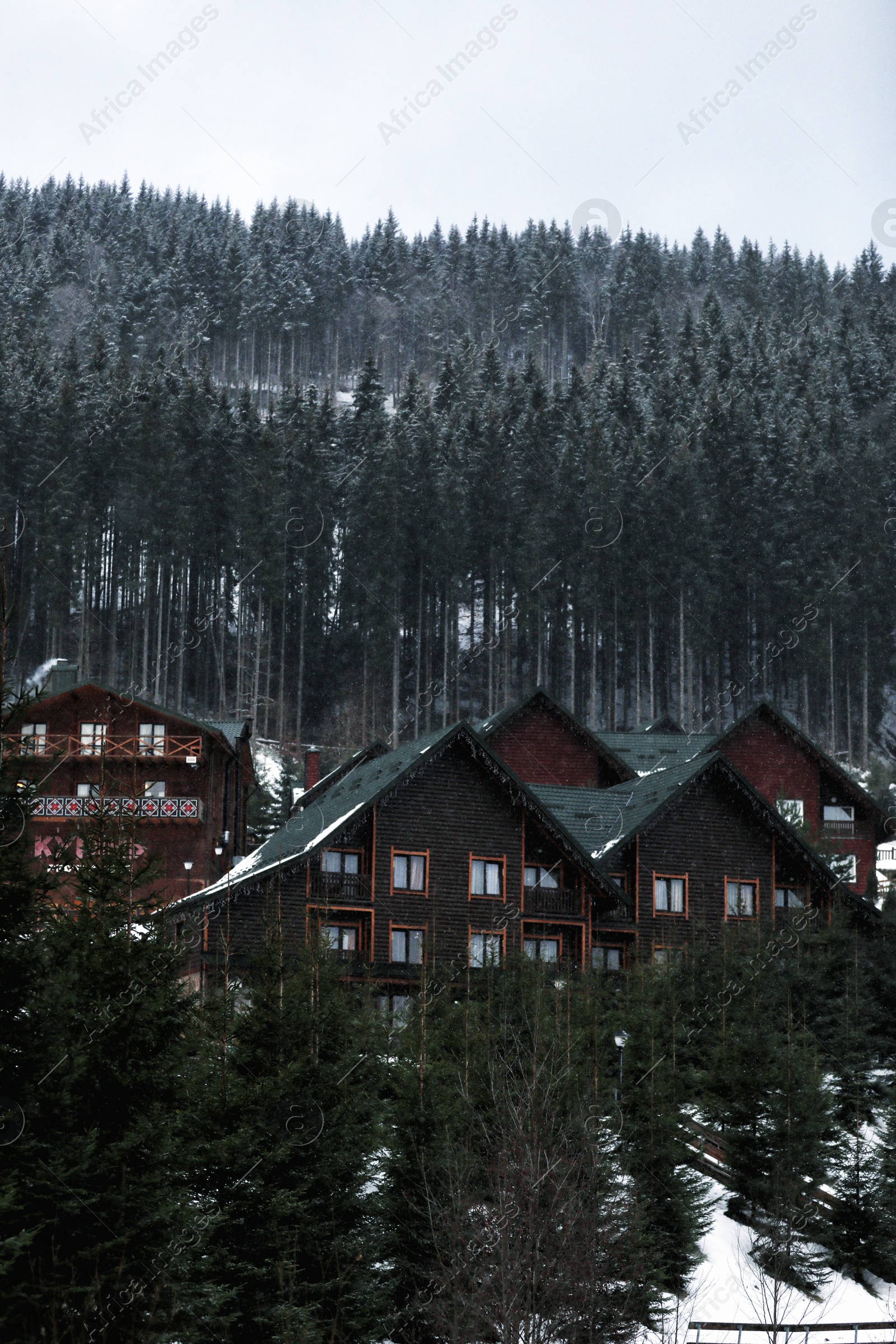 Photo of Beautiful view of resort near forest on snowy day. Winter vacation