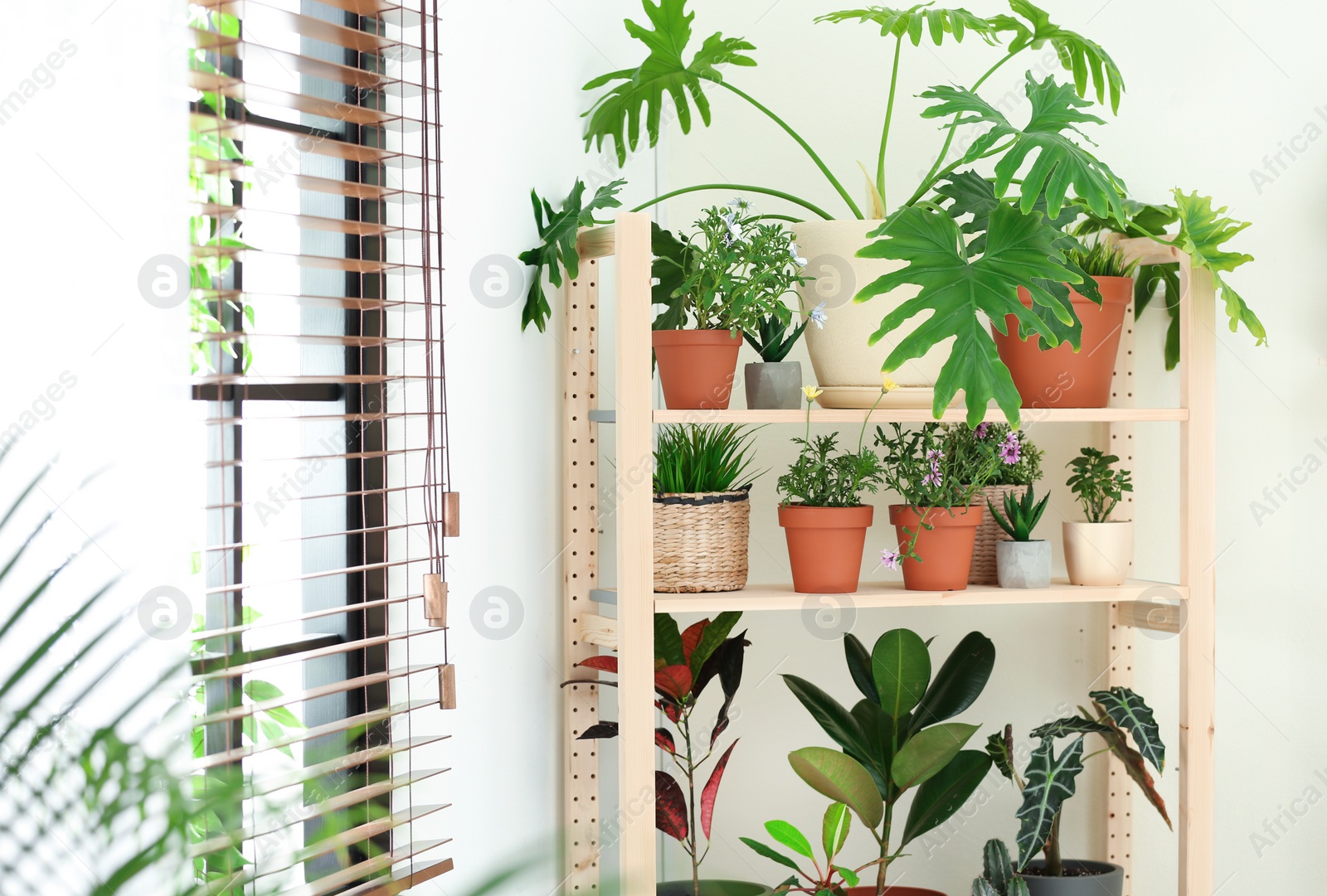 Photo of Stylish room interior with different home plants