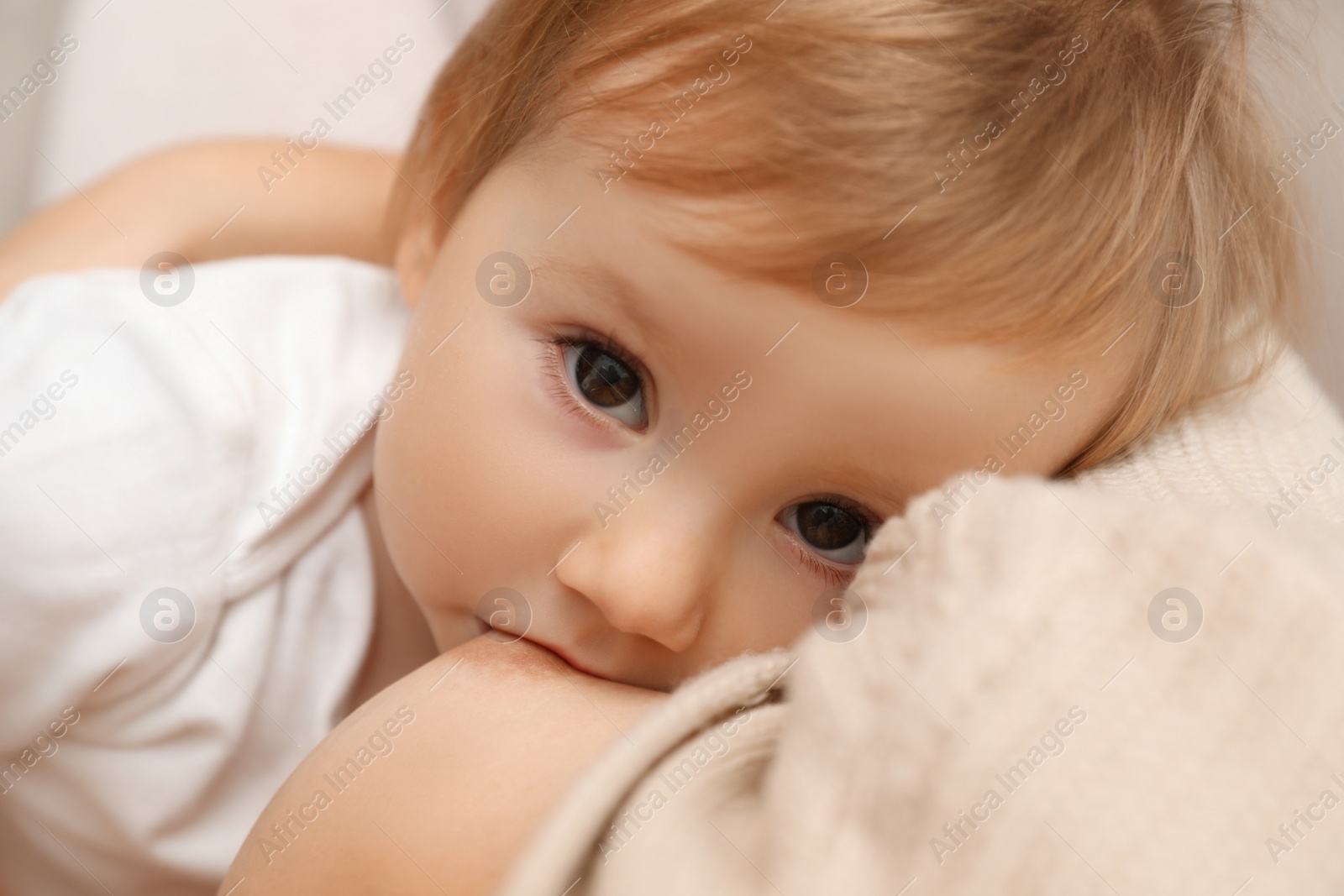 Photo of Woman breastfeeding her little baby, closeup view