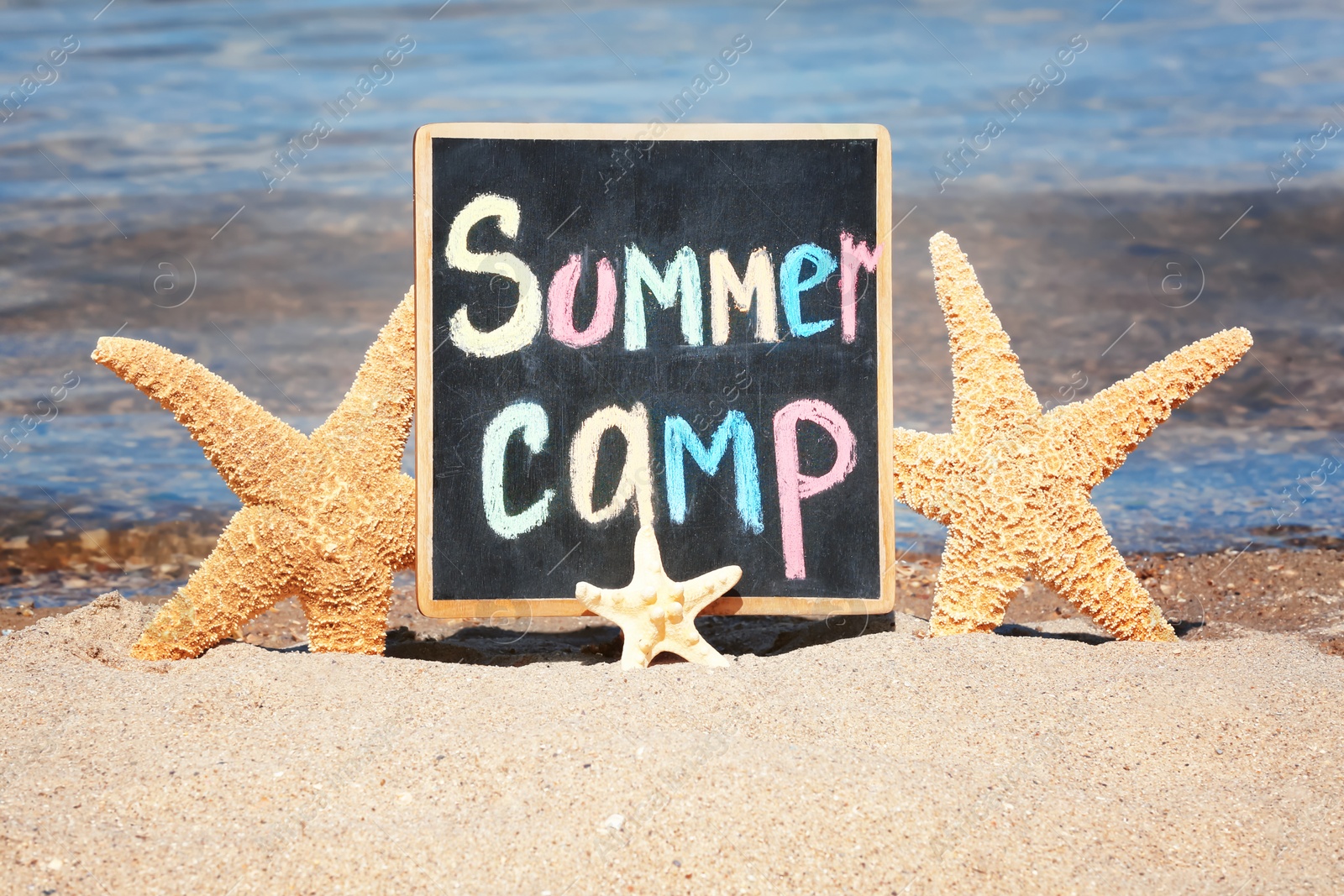 Photo of Little blackboard with text SUMMER CAMP and sea stars on sand near sea