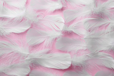 Photo of Many fluffy bird feathers on pink background, flat lay