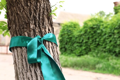 Photo of Teal awareness ribbon tied on tree in park, space for text