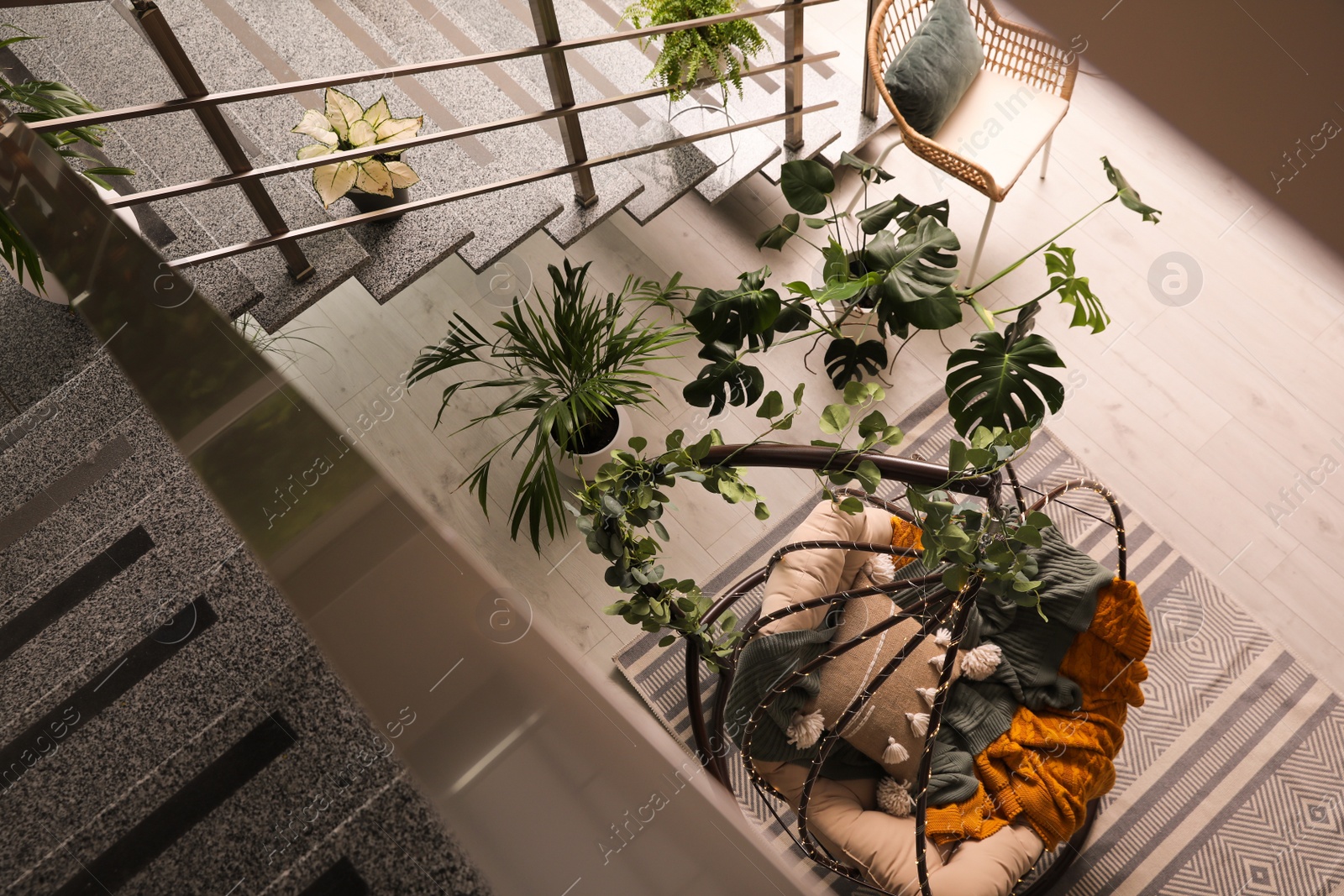 Photo of Indoor terrace interior with hanging chair and green plants, above view