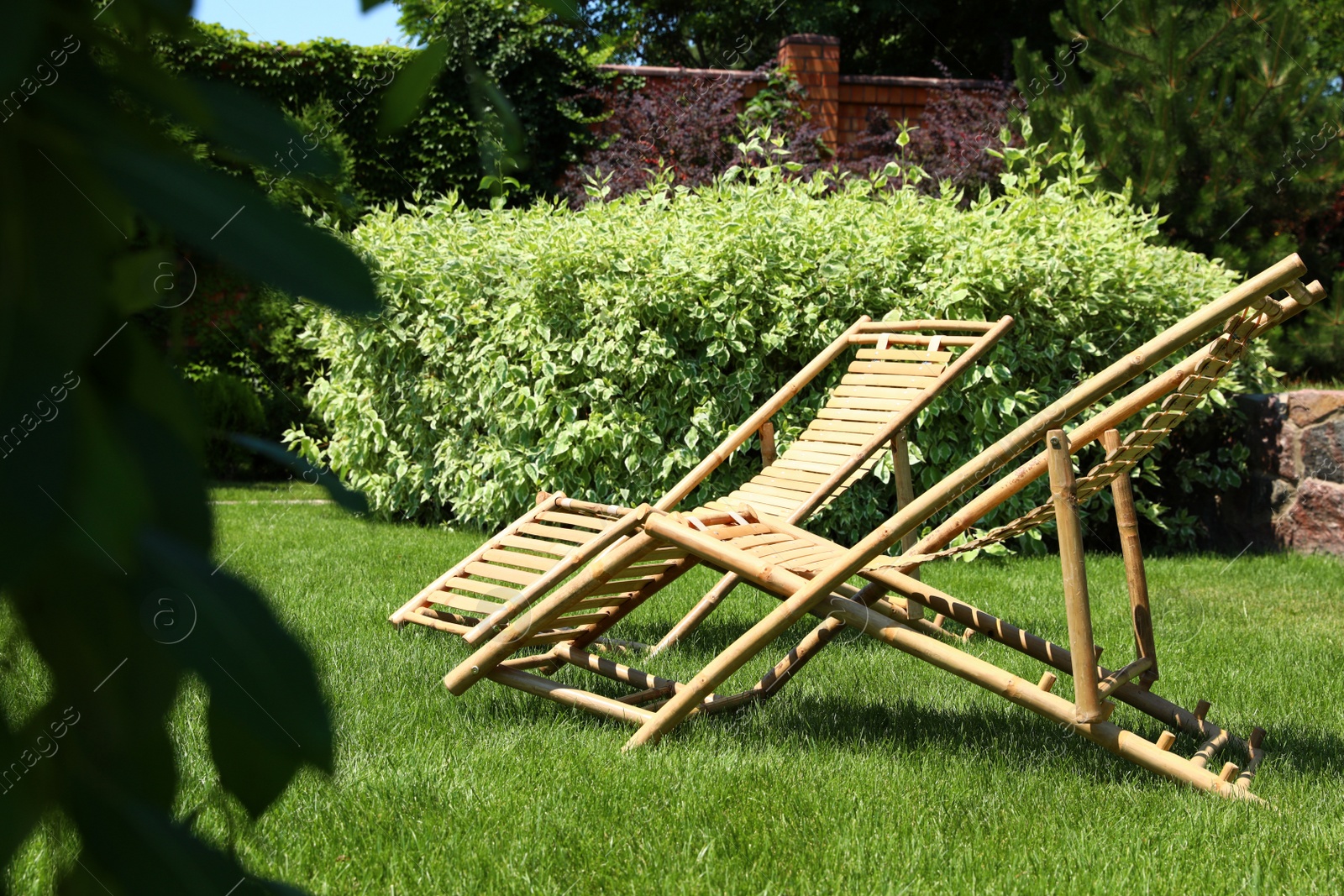 Photo of Wooden deck chairs in beautiful garden on sunny day