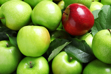 Tasty green apples and red one as background, closeup