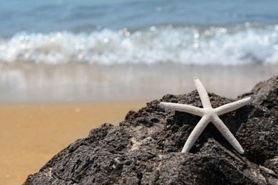 Beautiful starfish on black stone near sea, space for text