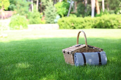 Picnic basket with blanket on green lawn in garden. Space for text