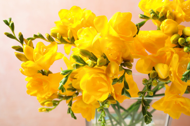 Photo of Beautiful blooming yellow freesias in glass vase against pink background, closeup