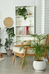 Photo of Stylish room interior with comfortable armchair and beautiful houseplants