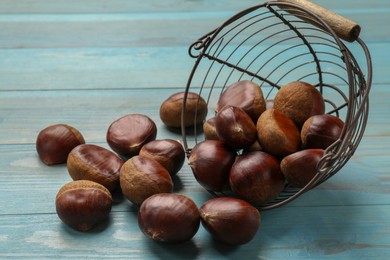 Photo of Metal basket with roasted edible sweet chestnuts on light blue wooden table, closeup