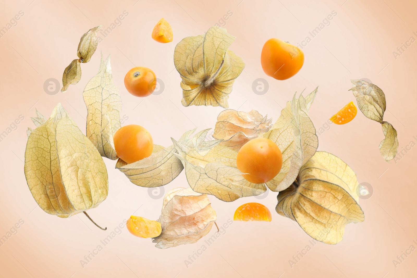 Image of Ripe orange physalis fruits with calyx falling on beige background